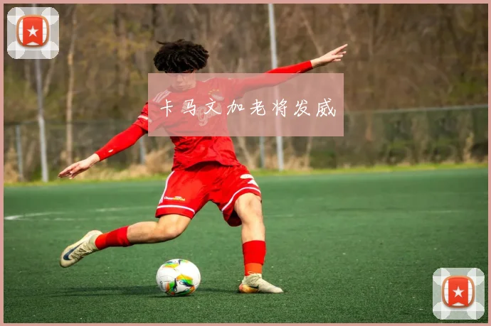 卡马文加老将发威