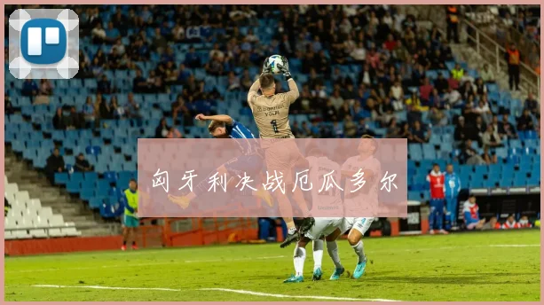 匈牙利决战厄瓜多尔