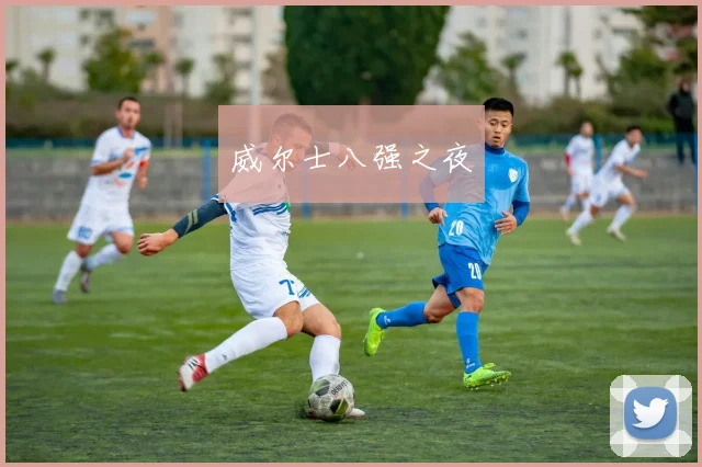 威尔士八强之夜