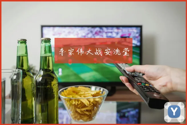 李宗伟大战安洗莹