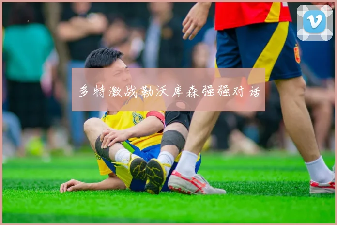 多特激战勒沃库森强强对话