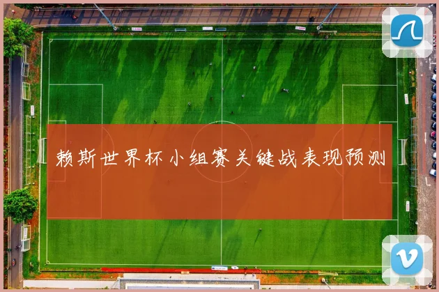 赖斯世界杯小组赛关键战表现预测