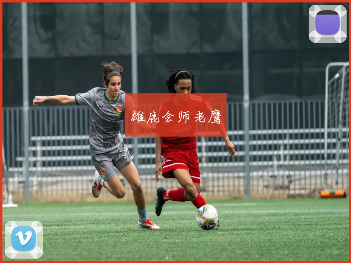 雄鹿会师老鹰