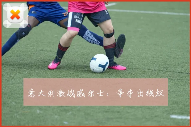 意大利激战威尔士，争夺出线权