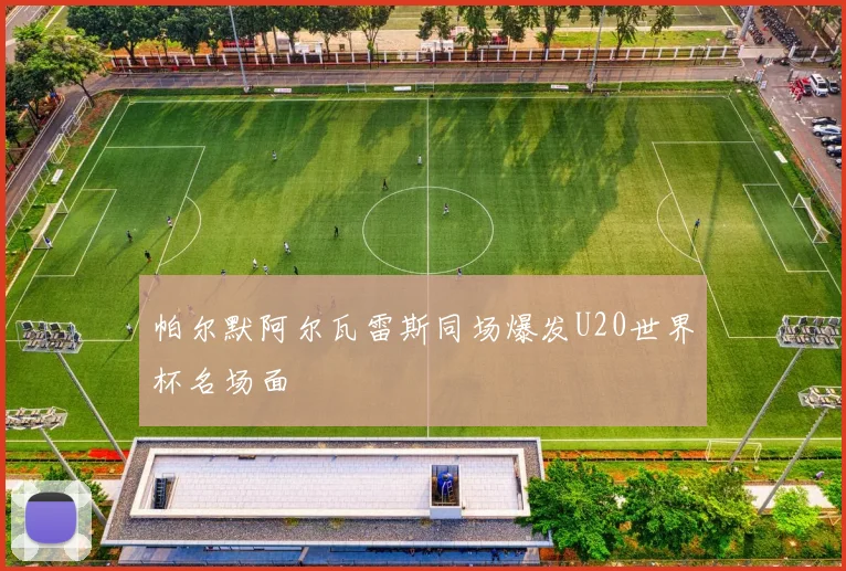 帕尔默阿尔瓦雷斯同场爆发U20世界杯名场面