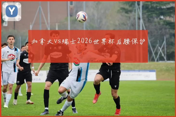 加拿大vs瑞士2026世界杯后腰保护