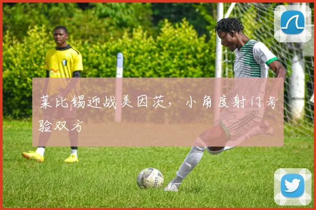 莱比锡迎战美因茨，小角度射门考验双方