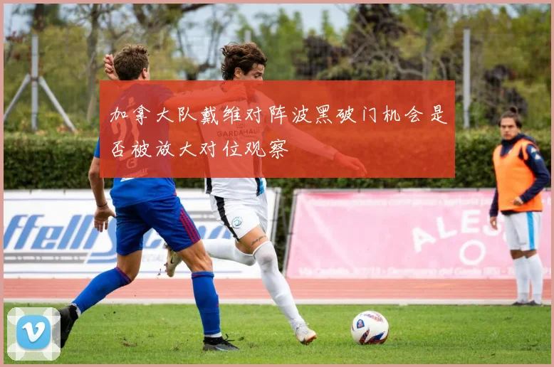 加拿大队戴维对阵波黑破门机会是否被放大对位观察