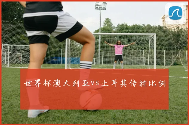 世界杯澳大利亚vs土耳其传控比例